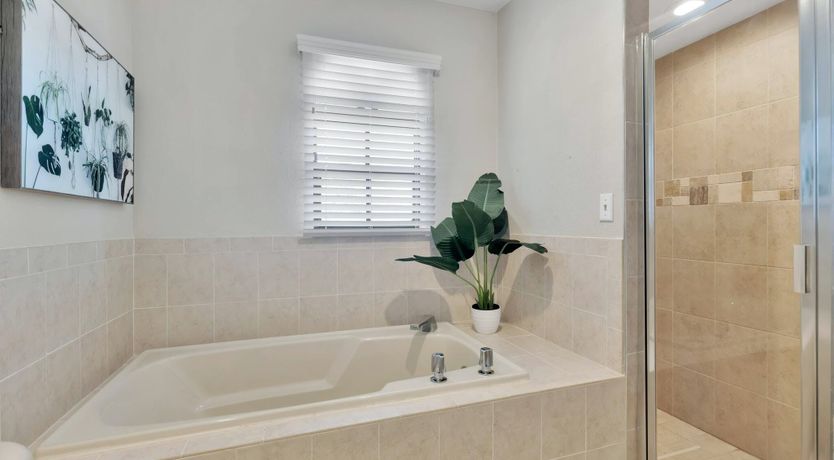 Photo of Palm Mansion