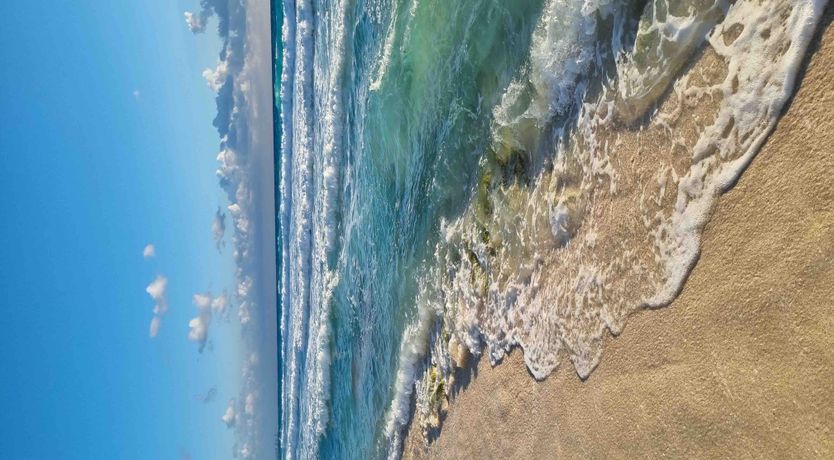 Photo of Cancún Chic