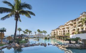 Photo of Palm Trees & Sea Breeze