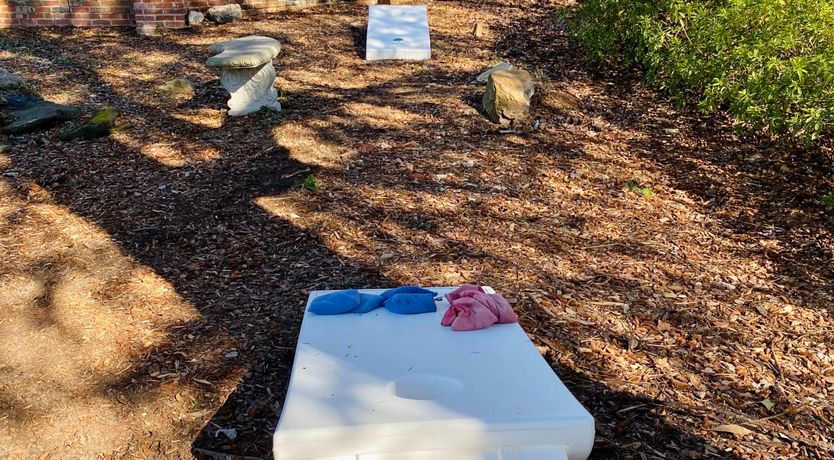 Photo of The Birmingham Freeform