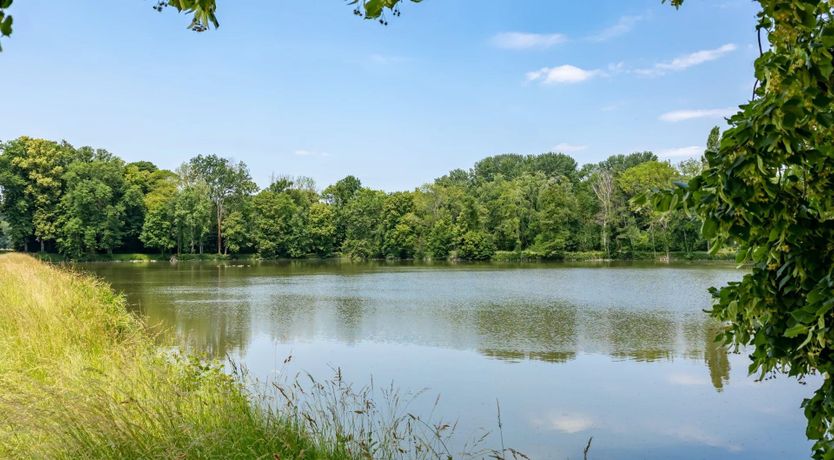 Photo of Ornate Opulence