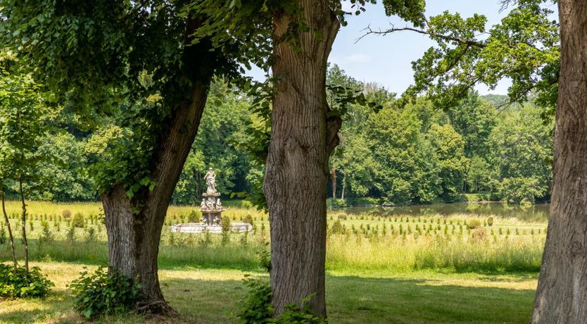 Photo of Ornate Opulence