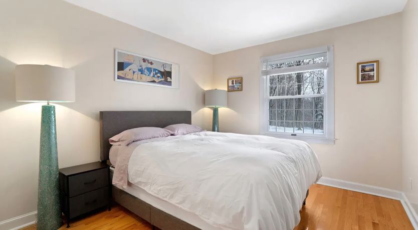 Photo of The Rainbow Bird