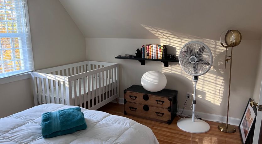 Photo of The Rainbow Bird