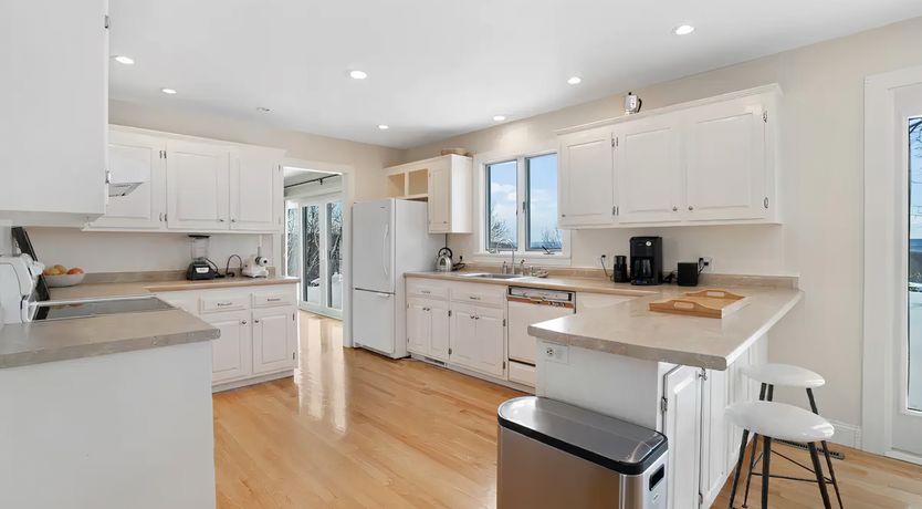 Photo of The Rainbow Bird