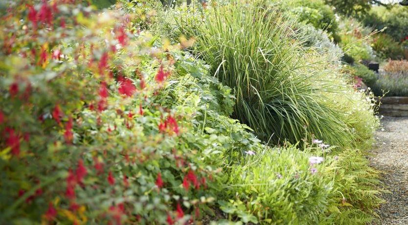 Photo of The Woodcutter's Rest