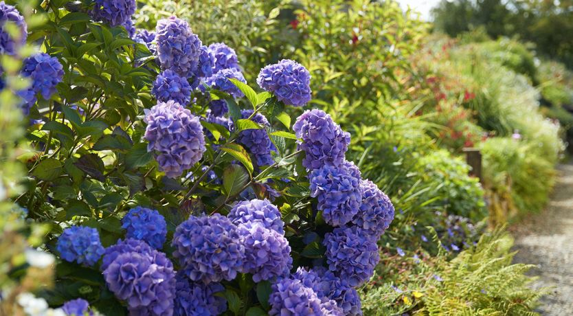 Photo of The Woodcutter's Rest