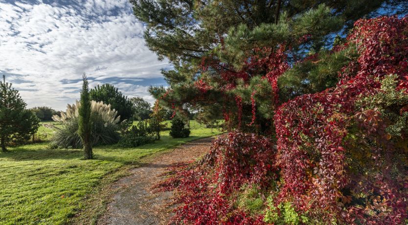 Photo of Countryside Calling