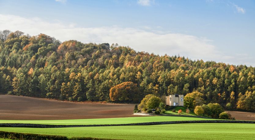 Photo of The Snowflake