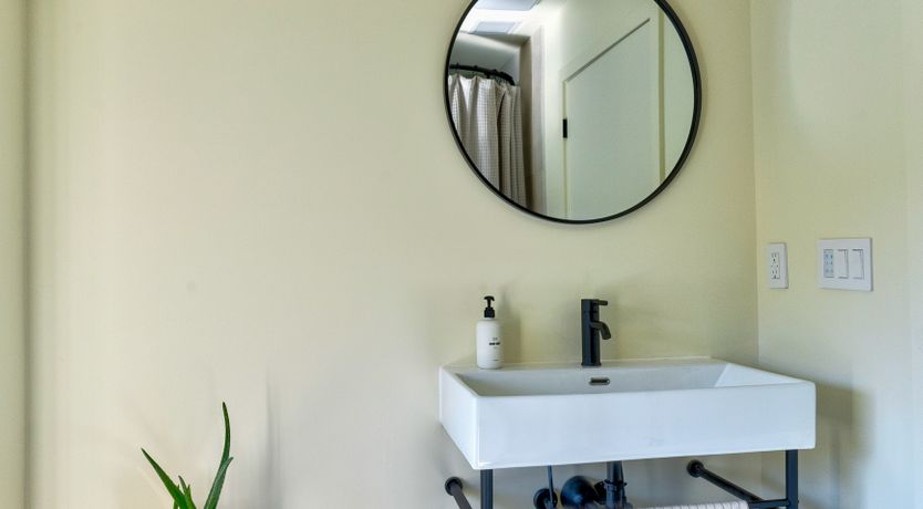 Photo of Dahlia Darling