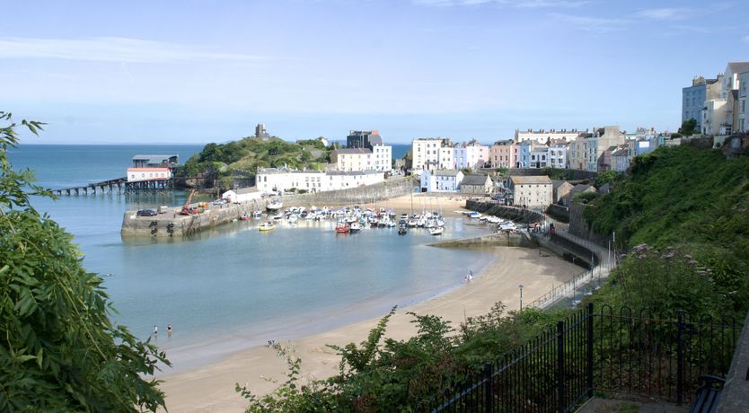 Photo of Sea Grass & Sorrel