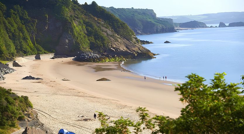 Photo of Sea Grass & Sorrel