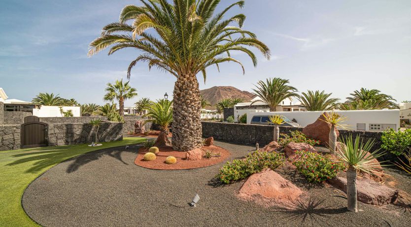 Photo of Sunny Oasis