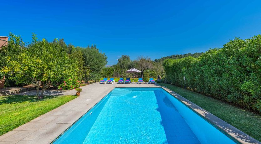 Photo of Majestic Presence