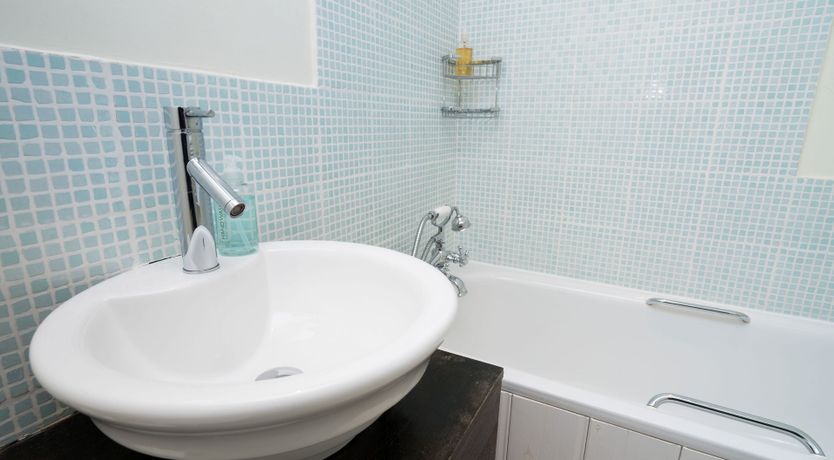 Photo of Little Wren