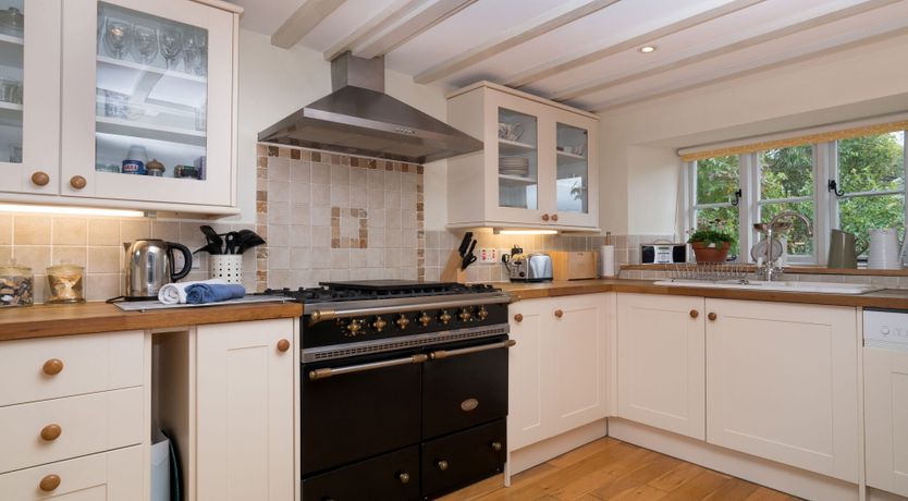 Photo of Little Wren