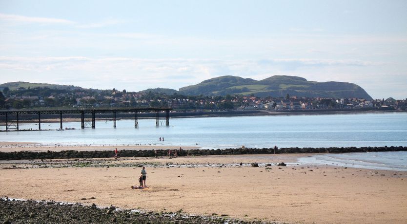 Photo of Little Wren