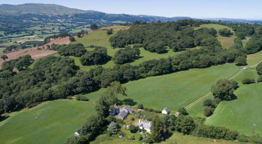 Photo of Little Wren