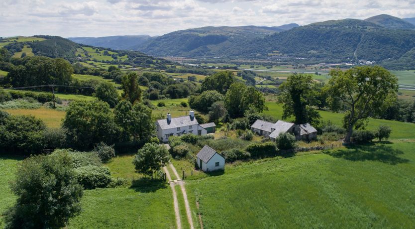 Photo of Little Wren