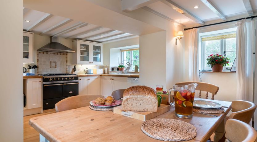 Photo of Little Wren