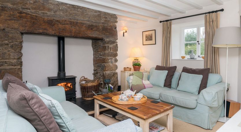 Photo of Little Wren