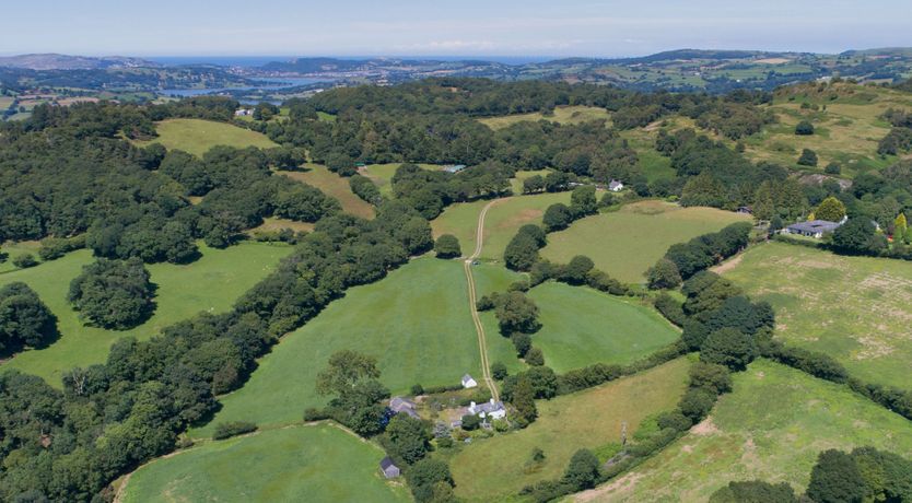 Photo of Little Wren