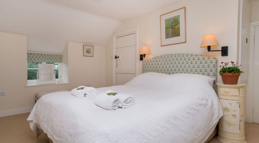 Photo of Little Wren