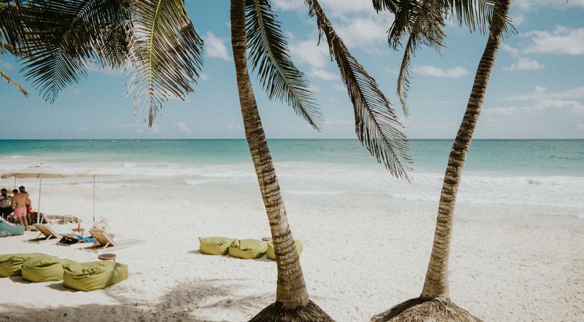 Photo of The Tulum Treetops