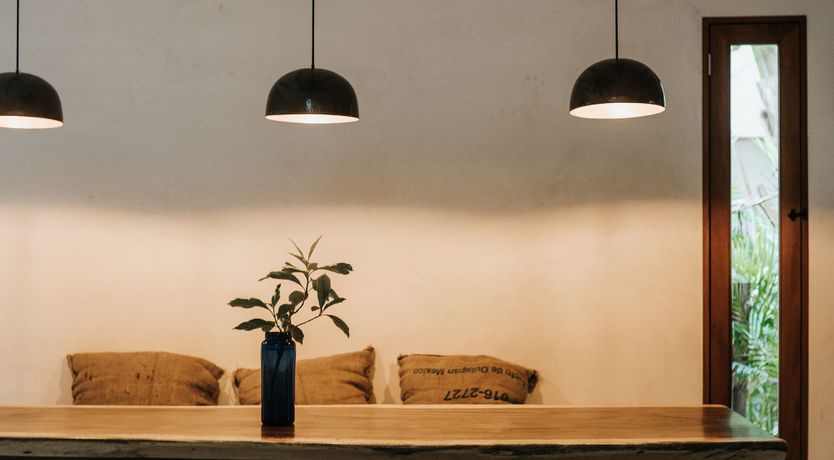 Photo of The Tulum Treetops