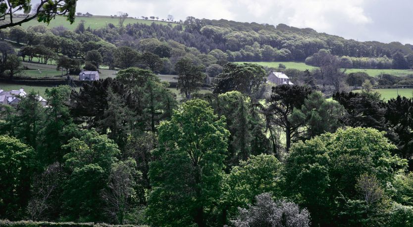 Photo of Till & Timber