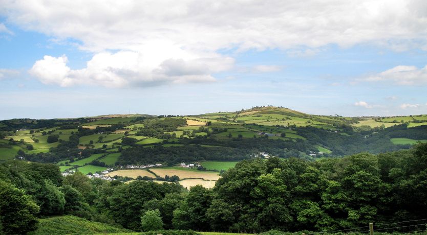 Photo of Till & Timber