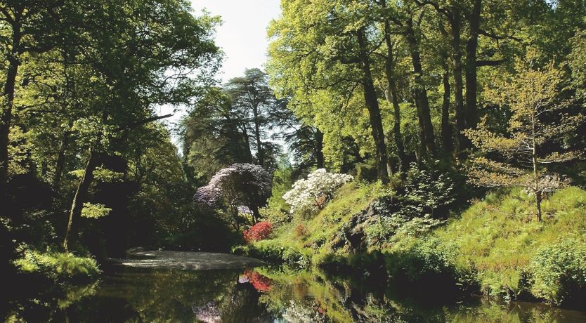 Photo of Till & Timber