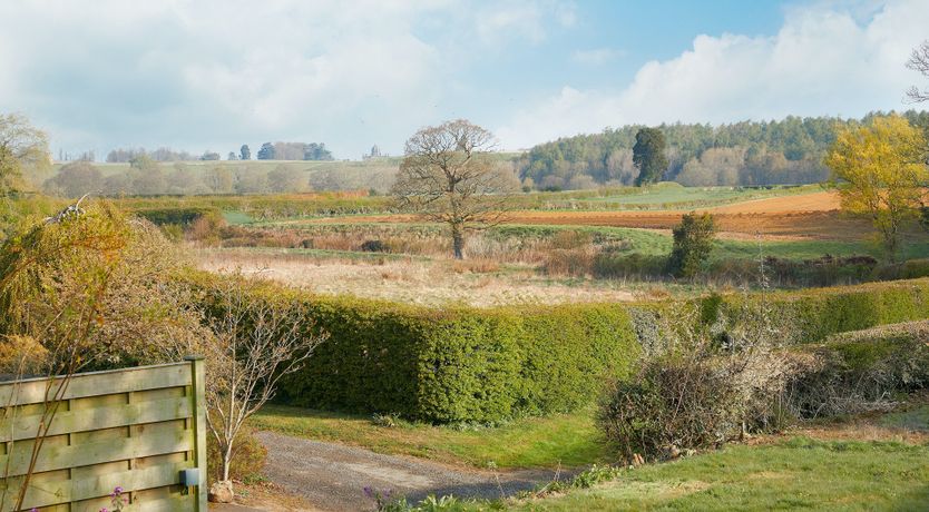 Photo of Serenity Song