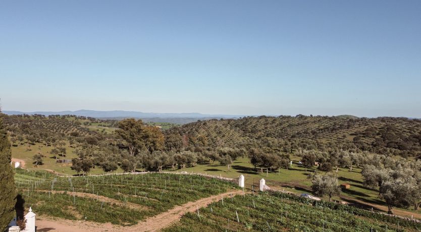 Photo of Mountains & Meadows