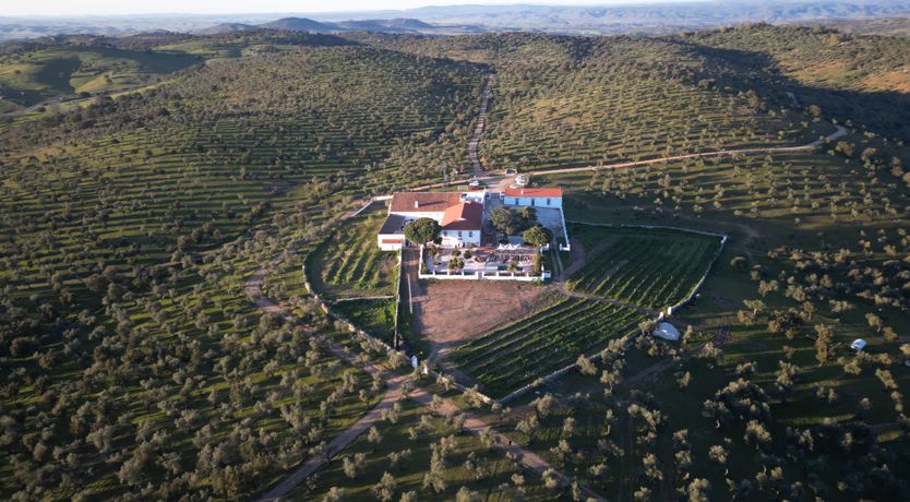 Photo of Mountains & Meadows