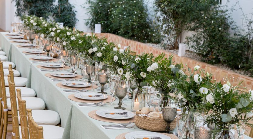 Photo of Mountains & Meadows