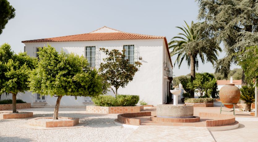 Photo of Mountains & Meadows