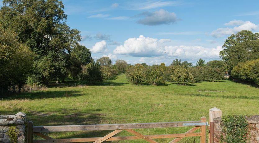 Photo of Kiln & Apple