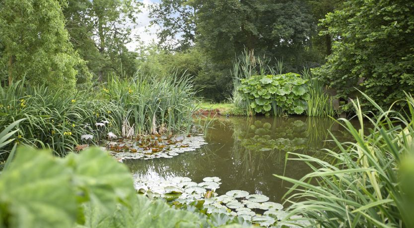 Photo of Lavender & Sage