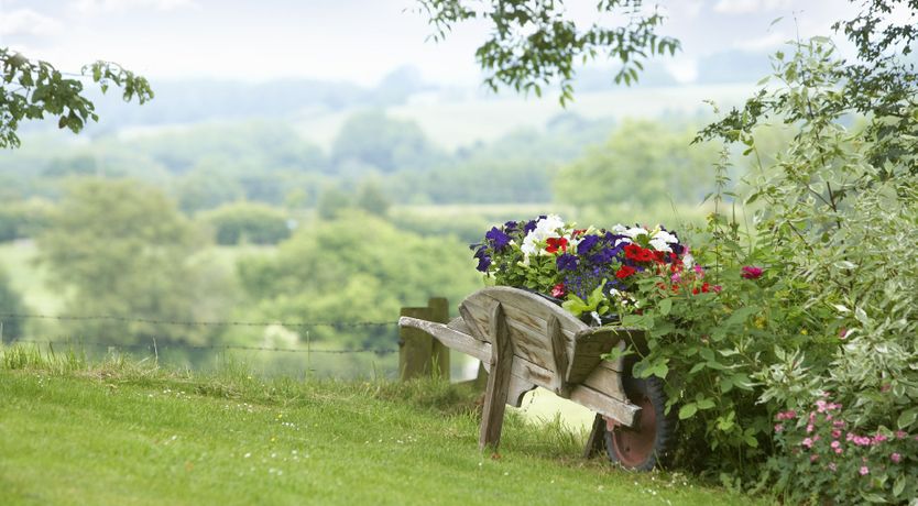 Photo of Lavender & Sage