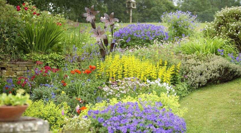 Photo of Lavender & Sage