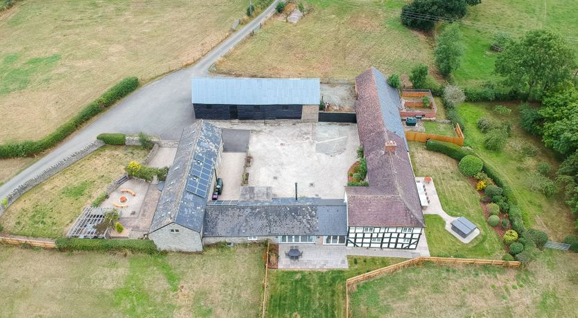 Photo of Blueberry Bouquet