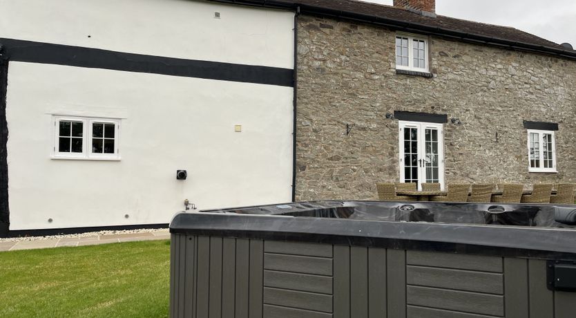 Photo of Blueberry Bouquet