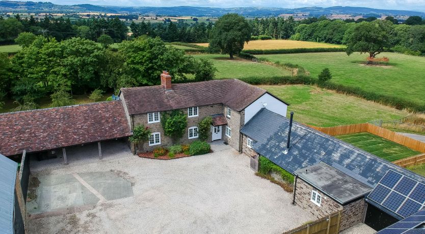 Photo of Blueberry Bouquet