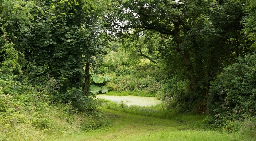 Photo of Wildflower Letters