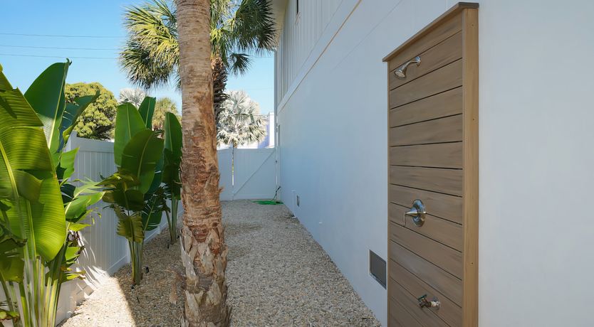 Photo of Call of the Seabird