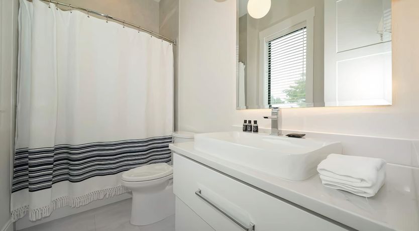 Photo of Call of the Seabird