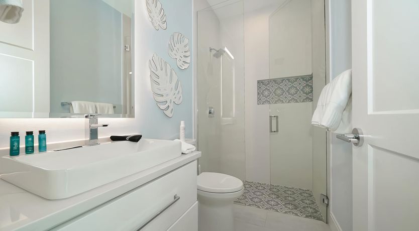 Photo of Call of the Seabird