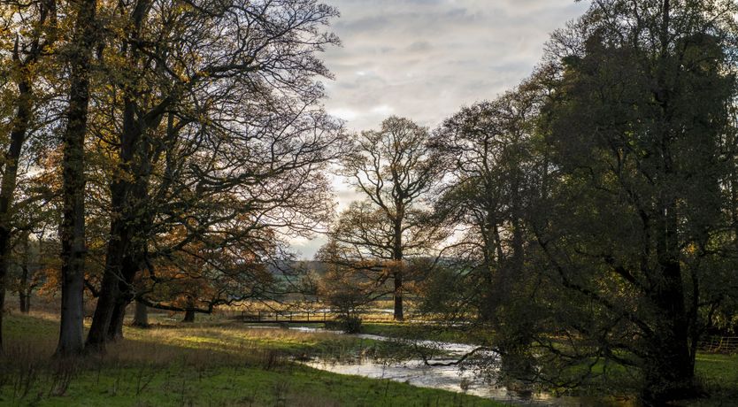 Photo of Countryside Chimes