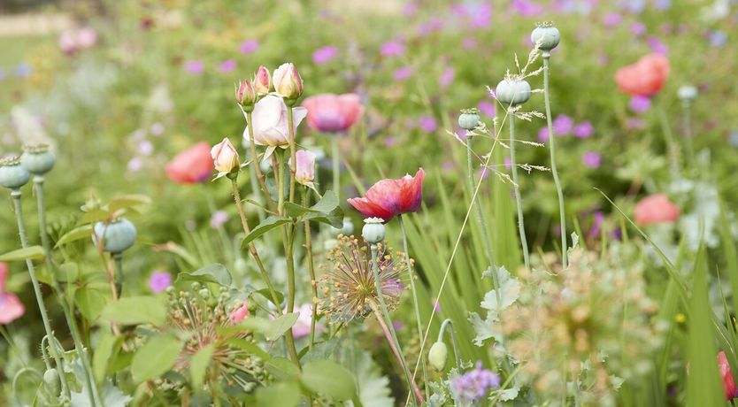 Photo of The Old Dairy